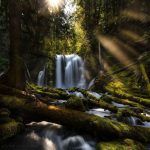 دانلود آهنگ جونی جونم بیا دردت به جونم