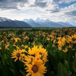 دانلود آهنگ توی شرجی توی گرما