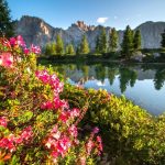 دانلود آهنگ یعنی شبا می خوابه کی روی بازوی چپت دانلود آهنگ یعنی شبا می خوابه کی روی بازوی چپت