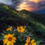 دانلود آهنگ دیگه حرفی نمیمونه وقتی برا تو نیستم دانلود آهنگ دیگه حرفی نمیمونه وقتی برا تو نیستم