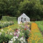 دانلود آهنگ آفرین صد آفرین بر رقصد ای ناز آفرین دانلود آهنگ آفرین صد آفرین بر رقصد ای ناز آفرین