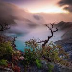 دانلود آهنگ باز آن غنچه خندان با زلف پریشان دانلود آهنگ باز آن غنچه خندان با زلف پریشان