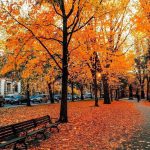 دانلود آهنگ بخدا توی دنیا مثل تو ندیدم دانلود آهنگ بخدا توی دنیا مثل تو ندیدم