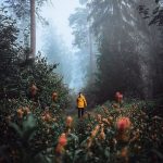 دانلود آهنگ عشقی که آرزوم بود مقصود جستجوم بود دانلود آهنگ عشقی که آرزوم بود مقصود جستجوم بود