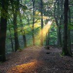 دانلود آهنگ خوشگلیات جهازته دانلود آهنگ خوشگلیات جهازته