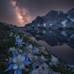 دانلود آهنگ خونه خاله بیا ببین چه ها شده دانلود آهنگ خونه خاله بیا ببین چه ها شده