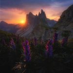 دانلود آهنگ کو ساقی و رامشگر زان باده جان پرور دانلود آهنگ کو ساقی و رامشگر زان باده جان پرور