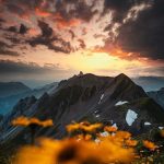 دانلود آهنگ مدرسه عالی شمیران در گوشه ای از شهر ما تهران دانلود آهنگ مدرسه عالی شمیران در گوشه ای از شهر ما تهران