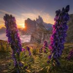 دانلود آهنگ منم یه یاری دارم گل از بهاری دارم