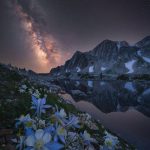 دانلود آهنگ تنبکی رو باش ویولن زنه عینکی رو باش