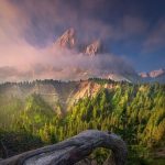 دانلود آهنگ یه چند وقت دلمم که نمیکوبه دانلود آهنگ یه چند وقت دلمم که نمیکوبه