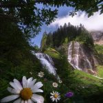 دانلود آهنگ آدم فروش خاک بر سرت دانلود آهنگ آدم فروش خاک بر سرت