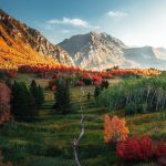 دانلود آهنگ آهسته آهسته دلم رو مبتلا نمودی