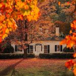 دانلود آهنگ بلا کیه طلا کیه