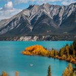 دانلود آهنگ به تو گفتم که برو اما نگفتم همیشه