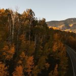 دانلود آهنگ بی‌ اعتنا نبودی که بودی