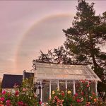 دانلود آهنگ دل بیقرار دارم من فکر فرار دارم من