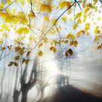 دانلود آهنگ دوست داشتن زیادی خودش یه جور عذابه دانلود آهنگ دوست داشتن زیادی خودش یه جور عذابه