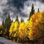 دانلود آهنگ امشب چریده رو کاغذ خودکار من هم از صبح کردم نشخوار