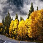 دانلود آهنگ عشق یه چیزی مثل کشک و دوغه