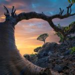 دانلود آهنگ ای که تو رو پرستیدم از خدا نترسیدم واسه کویر