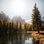 دانلود آهنگ فردا دوباره پاییز میشه باز | تمام اجراها