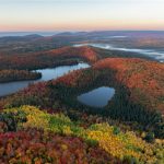 دانلود آهنگ گل پسری بله تاج سری بله