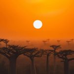 دانلود آهنگ خودت نیستی صدات مونده