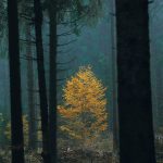 دانلود آهنگ میدونی دوست دارم پس دیگه ازارم نکن