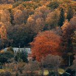 دانلود آهنگ سلامتی اون که اهلی نمیشه وحشیه