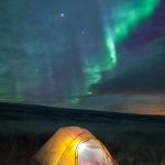 دانلود آهنگ تو یار من هستی آره یا نه