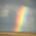 دانلود آهنگ زینو مو چه کردم تو با مو چنینی فرزین دانلود آهنگ زینو مو چه کردم تو با مو چنینی فرزین