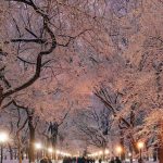 دانلود آهنگ باهام بری كلنجار مثه فيلم علف زار