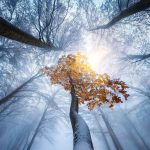 دانلود آهنگ بیا تو یار من باش دل و دلدار من باش