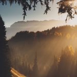 دانلود آهنگ خیلی دلم گرفته خیلی دلم گرفته آروم نداره قلبم