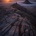 دانلود آهنگ مگه میشه یه پرنده بمونه بی آب و دونه