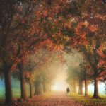 دانلود آهنگ من میدونم تو منو یادت رفته خیلی وقته