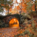 دانلود آهنگ لب دریا برایت خانه سازم تاجیکی