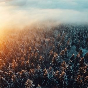 دانلود آهنگ توی چاله افتادم خاک منو زندونی کرد 1 Toye Chale Oftadam