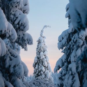 دانلود آهنگ نشسته روی نیمکت یه پارک شهر خالیو 1 Neshaste Roye Nimkat