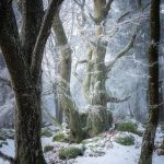 دانلود آهنگ یوخدو جانمنان عزیز من سنه قوربان الرم