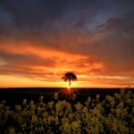 دانلود آهنگ عجب جایی به داد من رسیدی