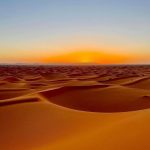دانلود آهنگ آره من عشقو نفهمیدمش