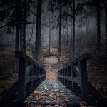 دانلود آهنگ چرا مو سرخانه رو مابین خورجین میکنم اسپ قمچین میکنم