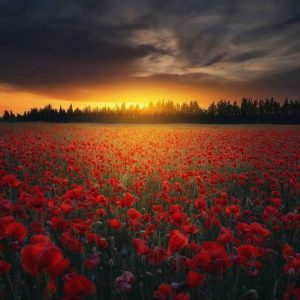 دانلود آهنگ اگه رد میدم واسه جنسشه 1 Age Rad Midam