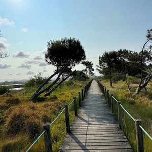 دانلود آهنگ تو چرا شمع شدی 1 To Chera Sham Shodi