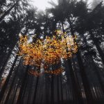 دانلود آهنگ تو که چشمات خیلی قشنگه معروف بدون حذفیات