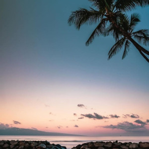 Boro Vali Harja Bashi