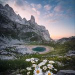 دانلود آهنگ ای گل هندی چقد نمک داری 