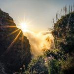 دانلود آهنگ نه دوست دارم بچم دکتر بشه